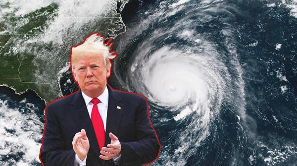 Tổng thống Donald Trump muốn chống bão theo cách "độc nhất vô nhị" (Ảnh: Ozy)