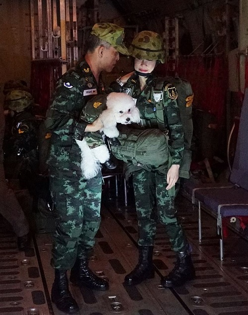 Vua Thái Lan mặc quân phục xuất hiện bên cạnh Hoàng quý phi, tay bế chú chó cưng.