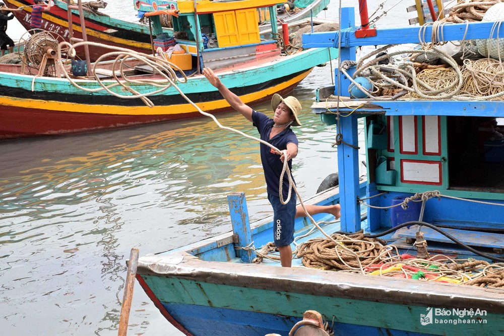 Nhiều tàu, thuyền ở Nghệ An đã về nơi neo đậu, tránh trú an toàn. Ảnh Báo Nghệ An.