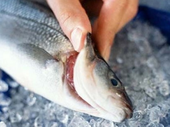 Những cách ăn cá vô tình rước độc vào thân - 4
