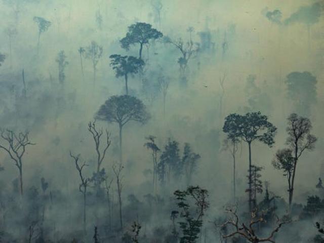Điều gì xảy ra nếu rừng Amazon không còn tồn tại?
