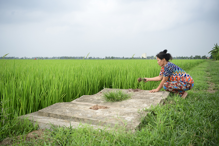 Bà Đào Thị Luân bên cạnh 3 ngôi mộ do gia đình bà cải táng khi đào trúng mộ thân cây.