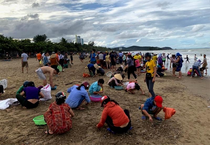 Dọc một đoạn bãi biển dài, hàng trăm người mang theo rổ, bao xác rắn, lưới để vớt hải sản.