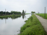 Tin tức trong ngày - Kỳ lạ ngôi làng ở ven sông, cứ đào xuống đất là gặp &quot;quan tài&quot; cây khổng lồ