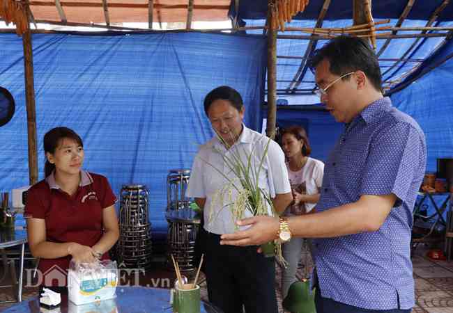 Lãnh đạo huyện Mù Cang Chải kiểm tra các gian hàng trước đêm khai mạc. Hoàng Hữu