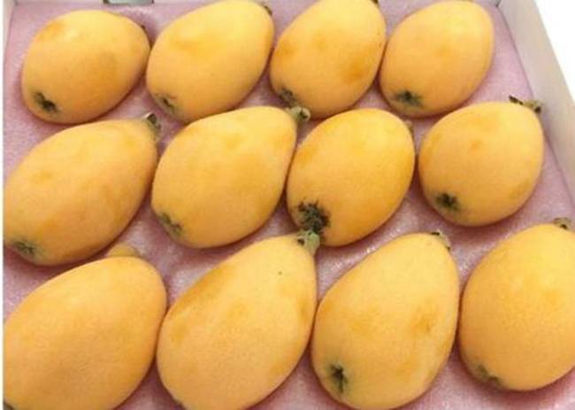 Cách đây không lâu, nhiều tờ báo nói đây là loại quả nhót Nhật khiến nhà giàu Việt "phát sốt". Mức giá bán ở Việt Nam lúc đó là 4 triệu/kg. 
