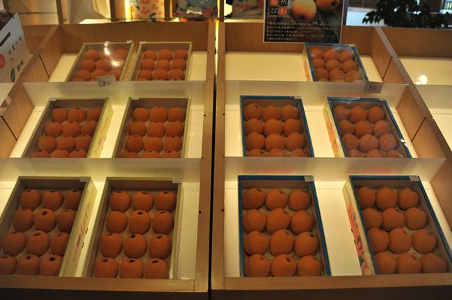 Quả biwa được trồng ở Chiba được bán với thương hiệu Boshu Biwa, mỗi hộp 12 quả có giá 3.500 - 5.000 yên (~700.000 đồng - 1 triệu đồng/hộp) tùy thuộc vào kích thước của quả.