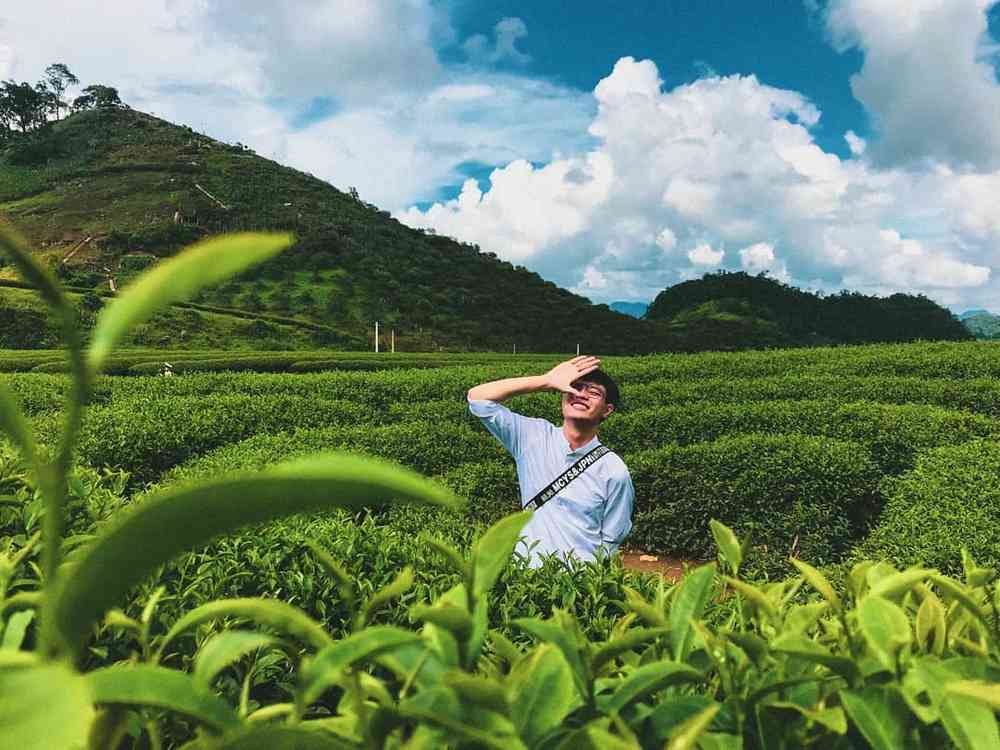 Tham quan đồi chè trái tim.