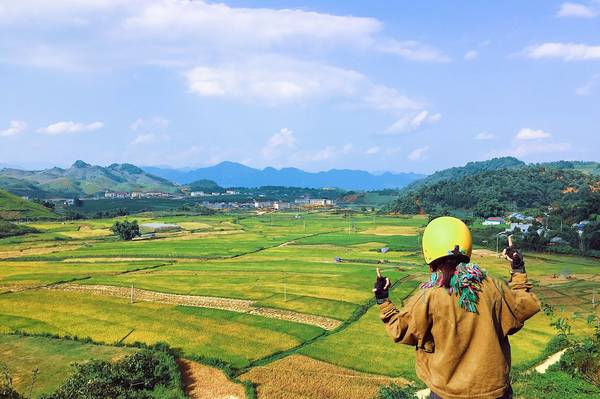 Tháng 9, những cánh đồng lúa chín ở&nbsp;Mộc Châu đẹp như tranh vẽ. Ảnh: Mai San