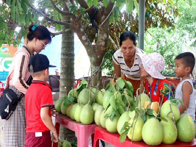 Bưởi trụ lông Đại Bình là loại bưởi quý của người dân thôn Đại Bình (xã Quế Trung, Nông Sơn, tỉnh Quảng Nam).