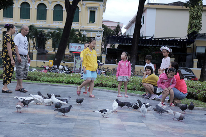 Nhiều gia đình đi tham quan trung tâm thành phố lúc sáng sớm và cho chim bồ câu ăn.