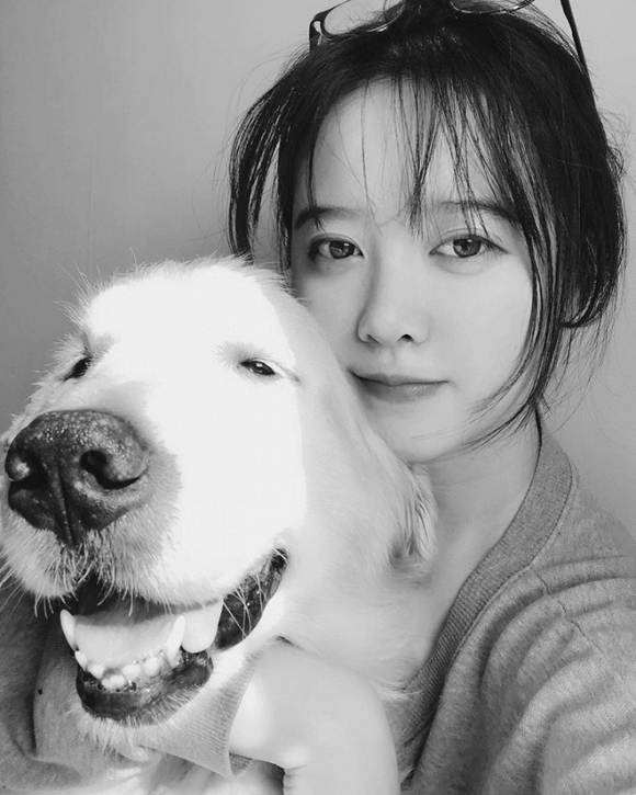 Goo Hye Sun là người rất yêu quý chó mèo