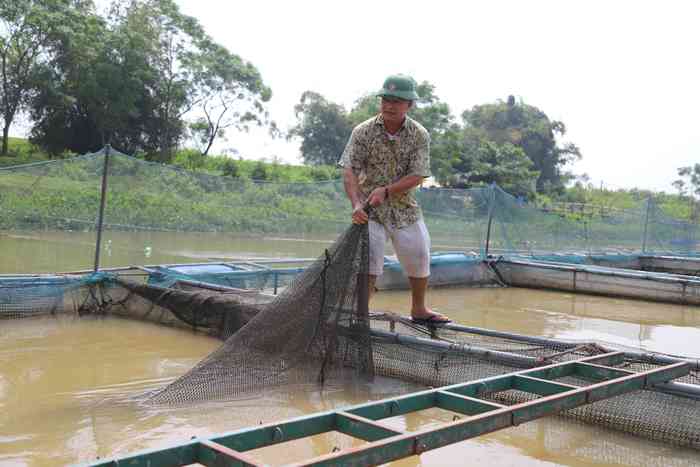 Anh Trần Đình và lao động tại bè cá luôn vệ sinh lưới, chuồng nuôi cá lồng, nhất là trong mùa mưa lũ, đảm bảo đàn cá phát triển tốt, khỏe mạnh...Ảnh: Nguyễn Chương.