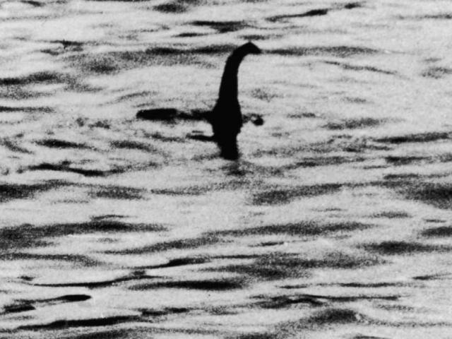 Quái vật hồ Loch Ness huyền thoại thực ra là lươn khổng lồ?