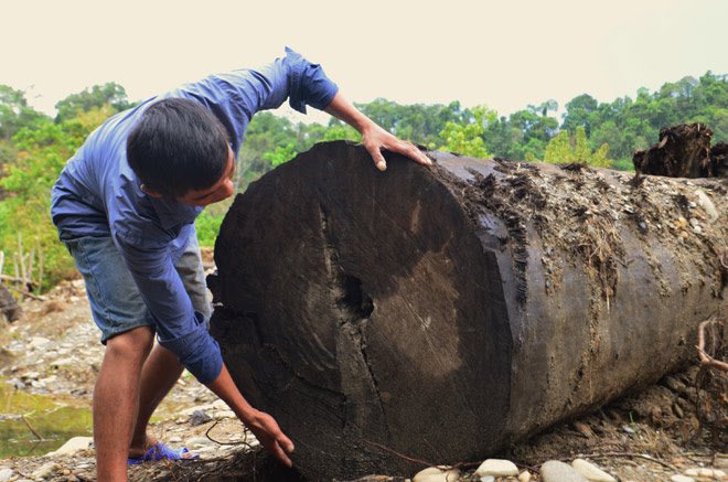 &nbsp;Cận cảnh khối gỗ&nbsp;