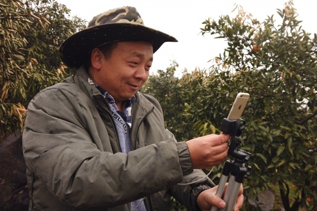 Zhong Haihui là một nông dân trồng cam ở ngoại ô Trương Gia Giới, Trung Quốc. Tuy nhiên, từ một nông dân chăm bẵm cây cối hàng ngày, giờ đây ông là một ngôi sao livestream trên mạng.