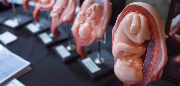 Hơn 2.200 thi thể&nbsp;thai nhi đã bị phát hiện tại Illinois, Mỹ (Ảnh minh họa)