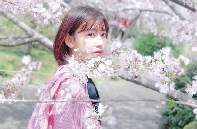 Đặc biệt là ngoại hình ngày càng xinh đẹp của Miyawaki Sakura khiến ai nấy đều xiêu lòng. 