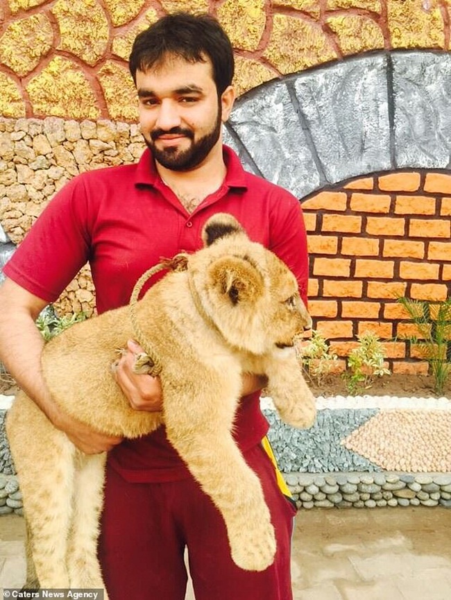 Theo Zulkaif Chaudhary, gia đình vui khi nhìn thấy con sư tử và mọi người đến thăm nó mỗi ngày.