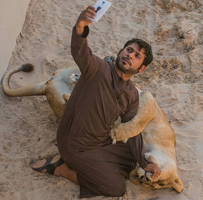 Humaid AlBuQaish là một người nổi tiếng với các bức ảnh chụp với thú cưng trên mạng xã hội. Dường như anh ta có hẳn một bộ sưu tập các con thú hoang dã. 