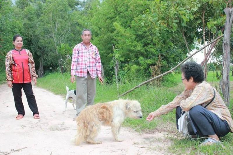 Leo được đoàn tụ với người chủ cũ. Ảnh: ODD