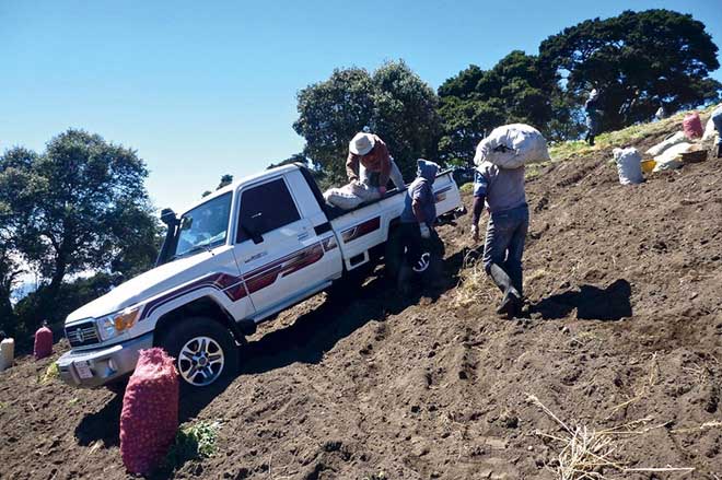 Toyota Land Cruiser đạt mốc 10 triệu xe bán ra sau gần 7 thập kỷ - 2