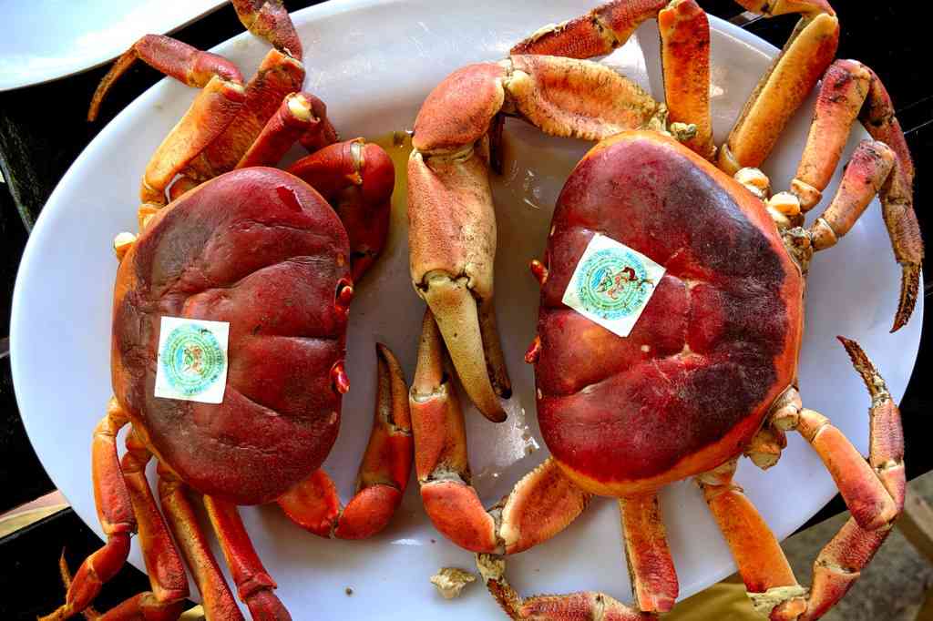 Đi từ Bắc vào Nam thưởng thức 9 loại cua siêu đặc sản ngon trứ danh - 4