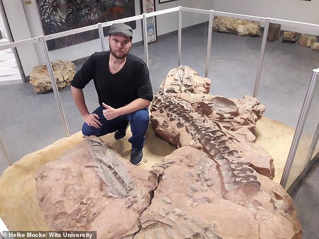 Hóa thạch cá sấu cổ xưa được tìm thấy ở&nbsp;Nam Phi.