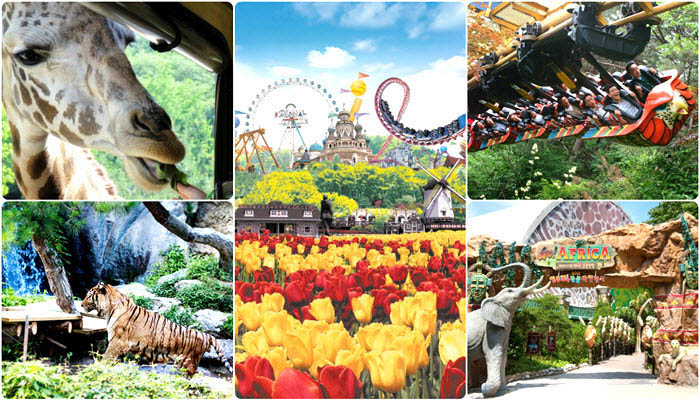 Khám phá thiên đường Disneyland phiên bản Hàn Quốc - 3