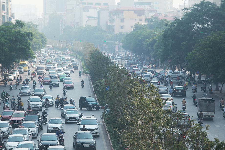 Theo ghi nhận của phóng viên, hàng phong lá đỏ trên đường Nguyễn Chí Thanh – Trần Duy Hưng lá không đỏ như trồng ở các nước ôn đới như Hàn Quốc, Canada mà chớm vàng đã héo khô.