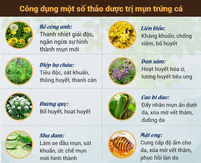 Mụn trứng cá là gì? Nguyên nhân và cách điều trị đạt hiệu quả cao - 3