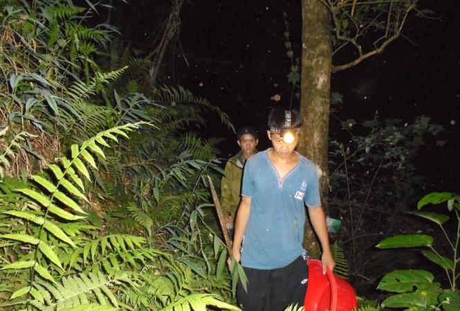 Việc săn ong đất chủ yếu diễn ra về đêm trong rừng với nhiều nguy hiểm rình rập ảnh: Nguyễn Thắng&nbsp;