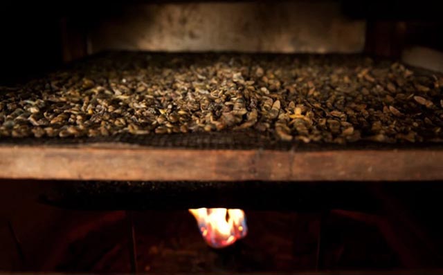 Đặc sản thằn lằn khô bốc mùi hôi thối khiến thực khách chạy "té khói" - 4