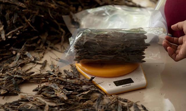 Đặc sản thằn lằn khô bốc mùi hôi thối khiến thực khách chạy "té khói" - 6