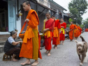 Du lịch - Khách tây mê mệt trước loạt di sản hàng đầu thế giới của UNESCO tại Đông Nam Á