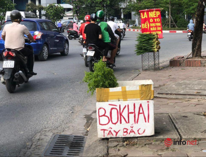 Theo người bán, rau bò khai là rau rừng tự nhiên, được hái ở vùng Tây Bắc.