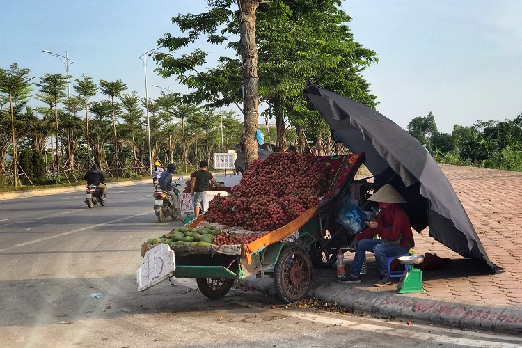 Các loại đặc sản vùng miền bày bán tràn lan trên vỉa hè với giá rẻ hơn 50% so với mức giá chung của thị trường.