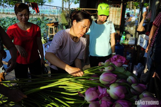 Theo chị Xuân, chủ đầm sen phía Đông, những năm gần đây nhu cầu mua sen của khách tăng nhanh, đôi khi không có đủ số lượng sen để đáp ứng. Nhiều lái buôn phải đặt trước để có thể mua số lượng lớn, còn bình thường mỗi khách đến đầm mua chỉ được phép mua tối đa 100 bông và thường chỉ sau 9h sáng số lượng hoa sen đã được bán hết.