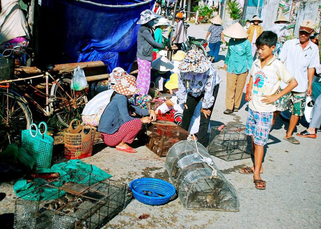 Chợ chuột đồng Phù Dật luôn sôi động quanh năm.