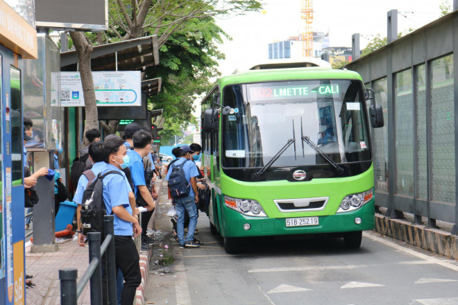 Các doanh nghiệp vận tải xe buýt TP HCM đang lâm cảnh nợ nần