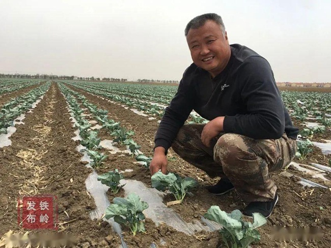 Mặc dù vất vả nhưng anh Zhang và gia đình cảm thấy niềm vui với vụ thu hoạch súp lơ xanh năm nay. Hồi mùa xuân, thời tiết lạnh, anh Zhang lo các cây súp lơ xanh bị chết. Tuy nhiên, may mắn các cây vẫn phát triển tốt.
