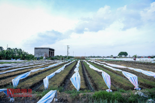 Trao đổi với PV, ông Trương Khắc Chính, Phó Chủ tịch UBND phưỡng Võ Cường cho biết: "Hiện tại địa phương đã nắm được thông tin về sự ô nhiễm, đồng thời, UBND phường cũng đang xin ý kiến chỉ đạo của lãnh đạo tỉnh, thành phố, sớm xử lý trả lại môi trường bình yên cho người dân".