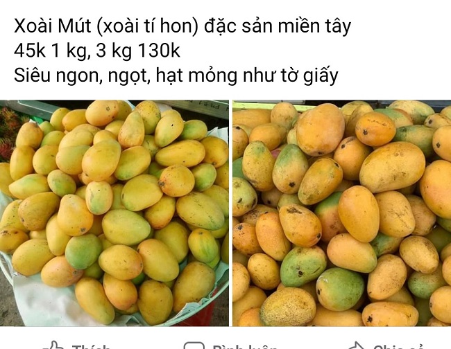 Xoài mini hạt lép bán tràn lan ở chợ, chị em mua tới tấp dù không biết ...