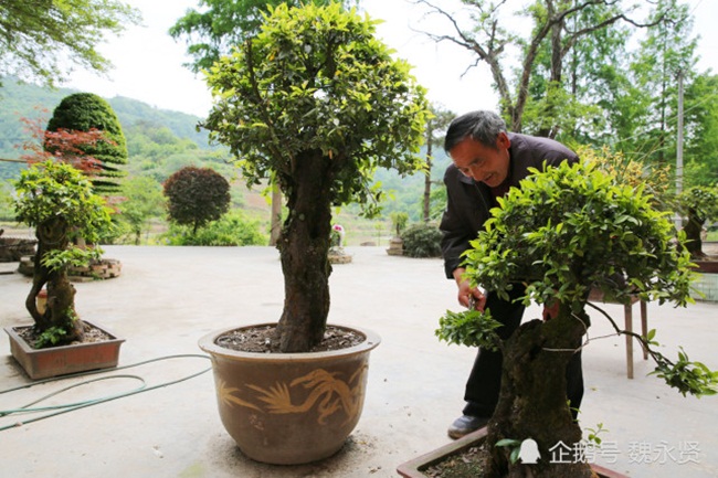 Trước đây, ông lái xe bưu chính, chuyển thư. Sau khi nghỉ hưu, ông Châu không ở lại thành phố mà về quê sống cuộc sống ở nông thôn trong một căn nhà nhỏ.