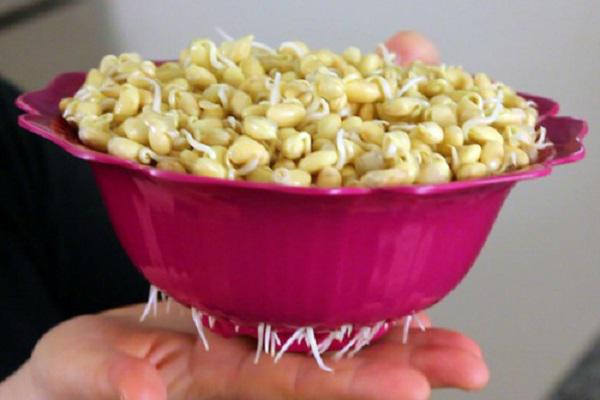 6 thực phẩm mọc mầm không hề độc mà là "thần dược" cho sức khỏe - 2