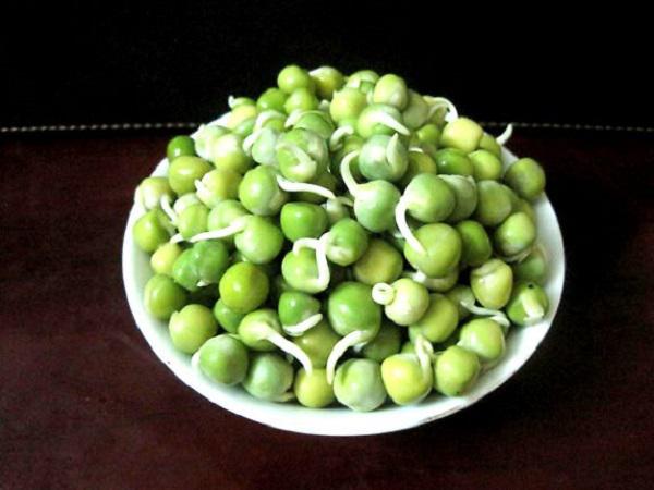 6 thực phẩm mọc mầm không hề độc mà là "thần dược" cho sức khỏe - 3