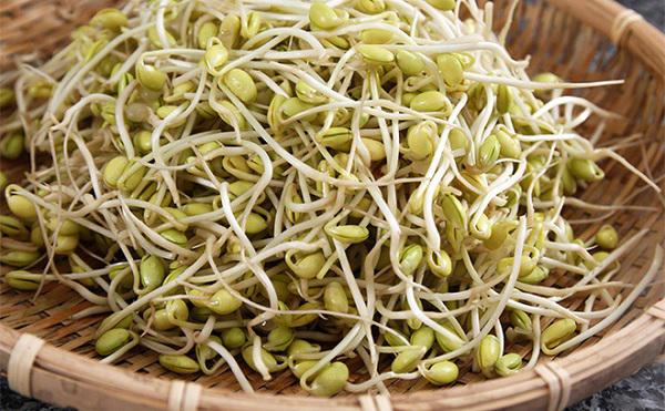 6 thực phẩm mọc mầm không hề độc mà là "thần dược" cho sức khỏe - 5