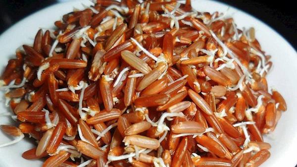 6 thực phẩm mọc mầm không hề độc mà là "thần dược" cho sức khỏe - 4