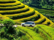 Ô tô - Mua Toyota Fortuner được hưởng ưu đãi kép trong tháng 7