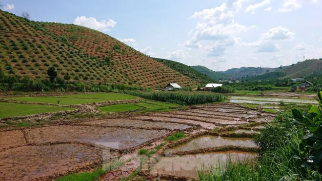 Những ngôi nhà người Mông tựa lưng vào cánh rừng trọc